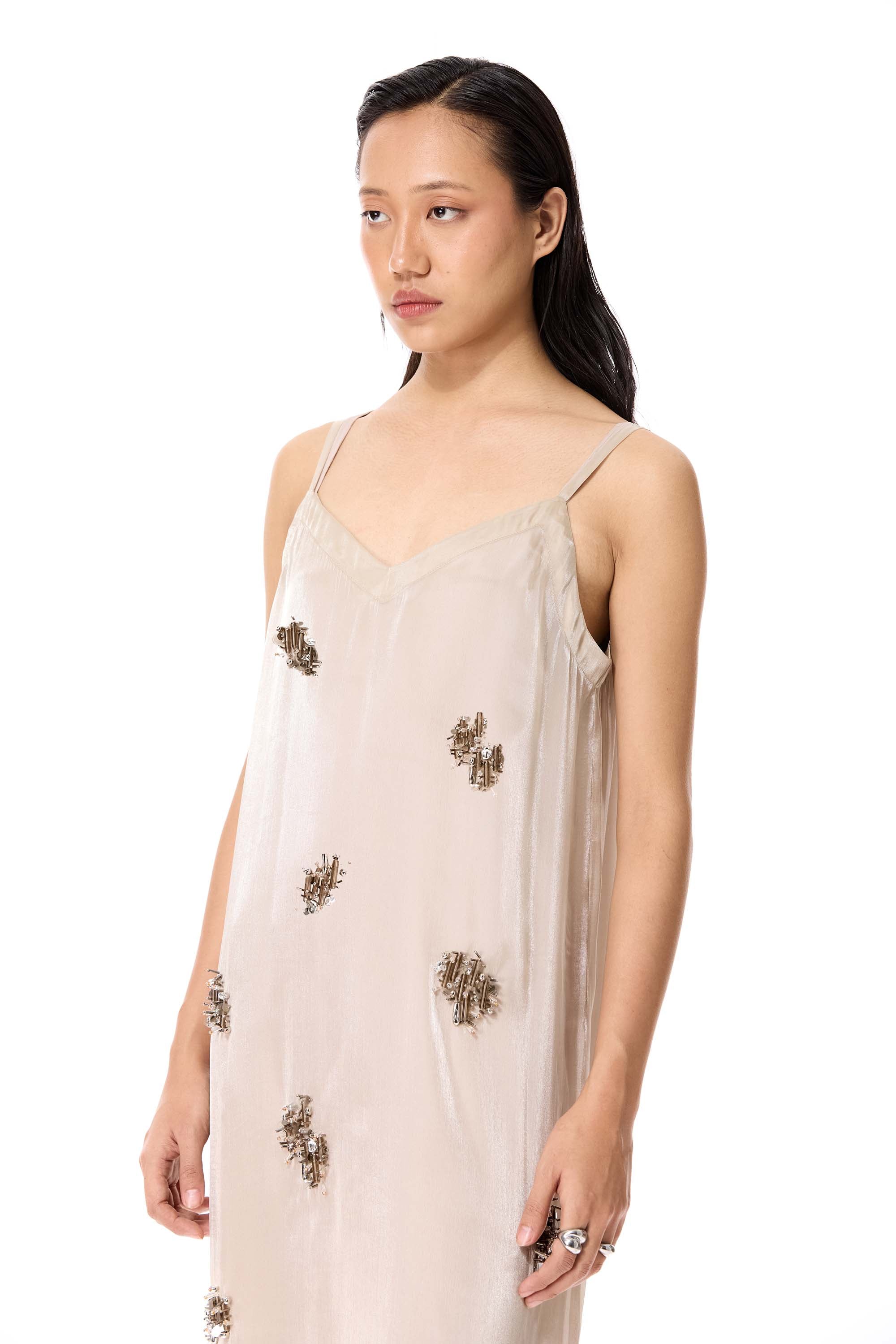 ARKONIA EMBELLISHED DRESS - Kanika Goyal Label