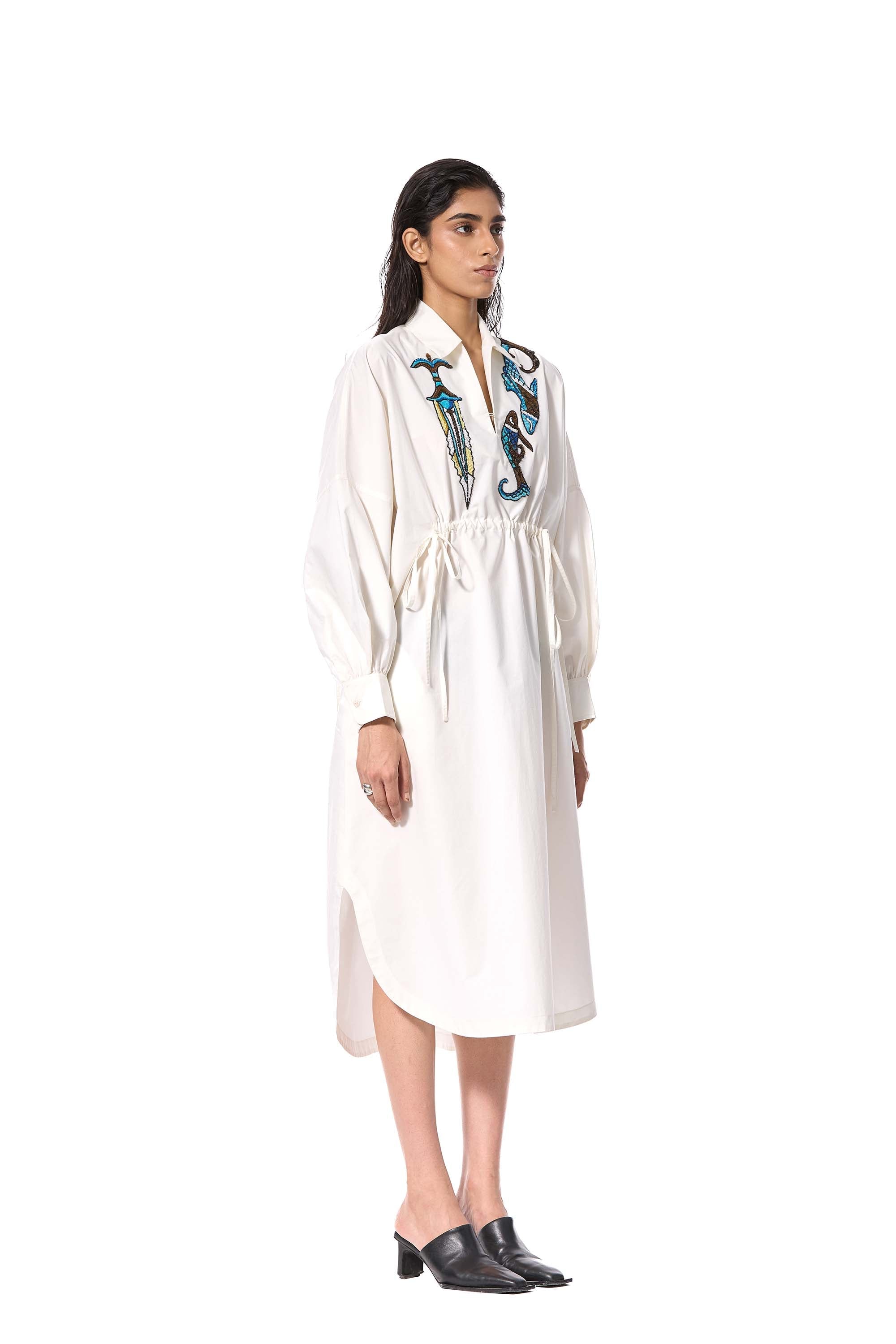 MOONFIN' EMBELLISHED DRESS - Kanika Goyal Label