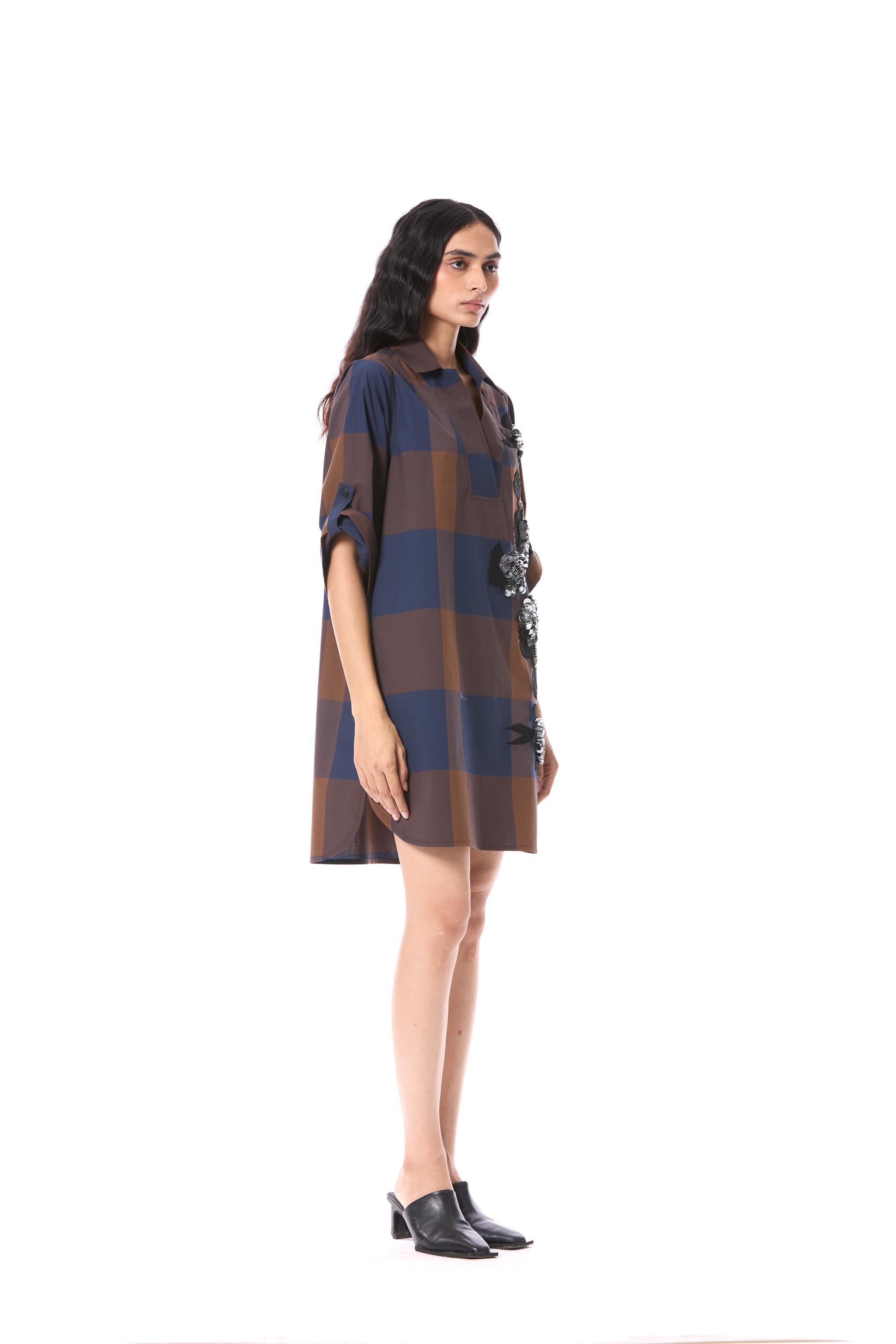 SOFT BRIAR' EMBELLISHED DRESS - Kanika Goyal Label