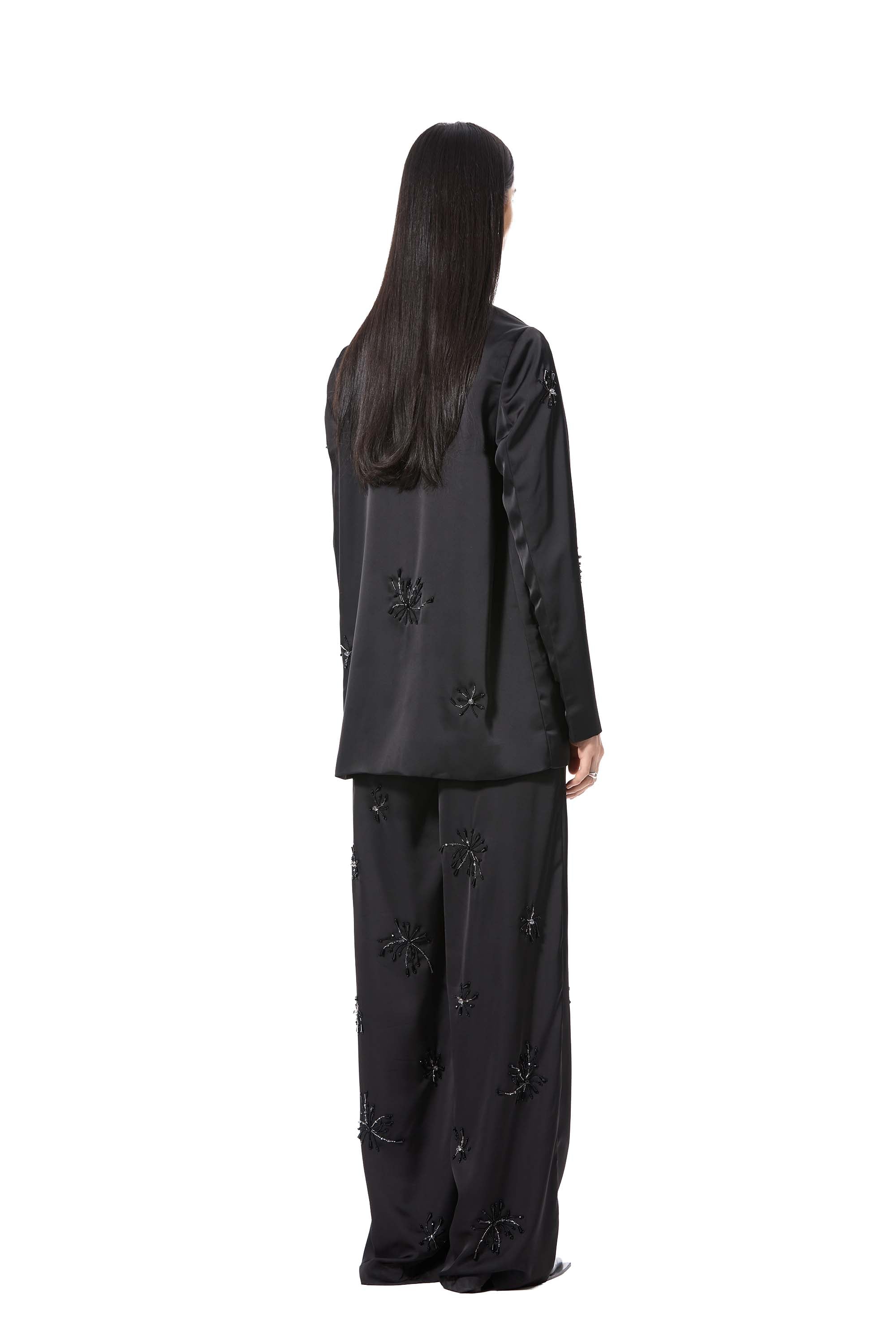 SOLAR DUST' EMBELLISHED PANTS - Kanika Goyal Label