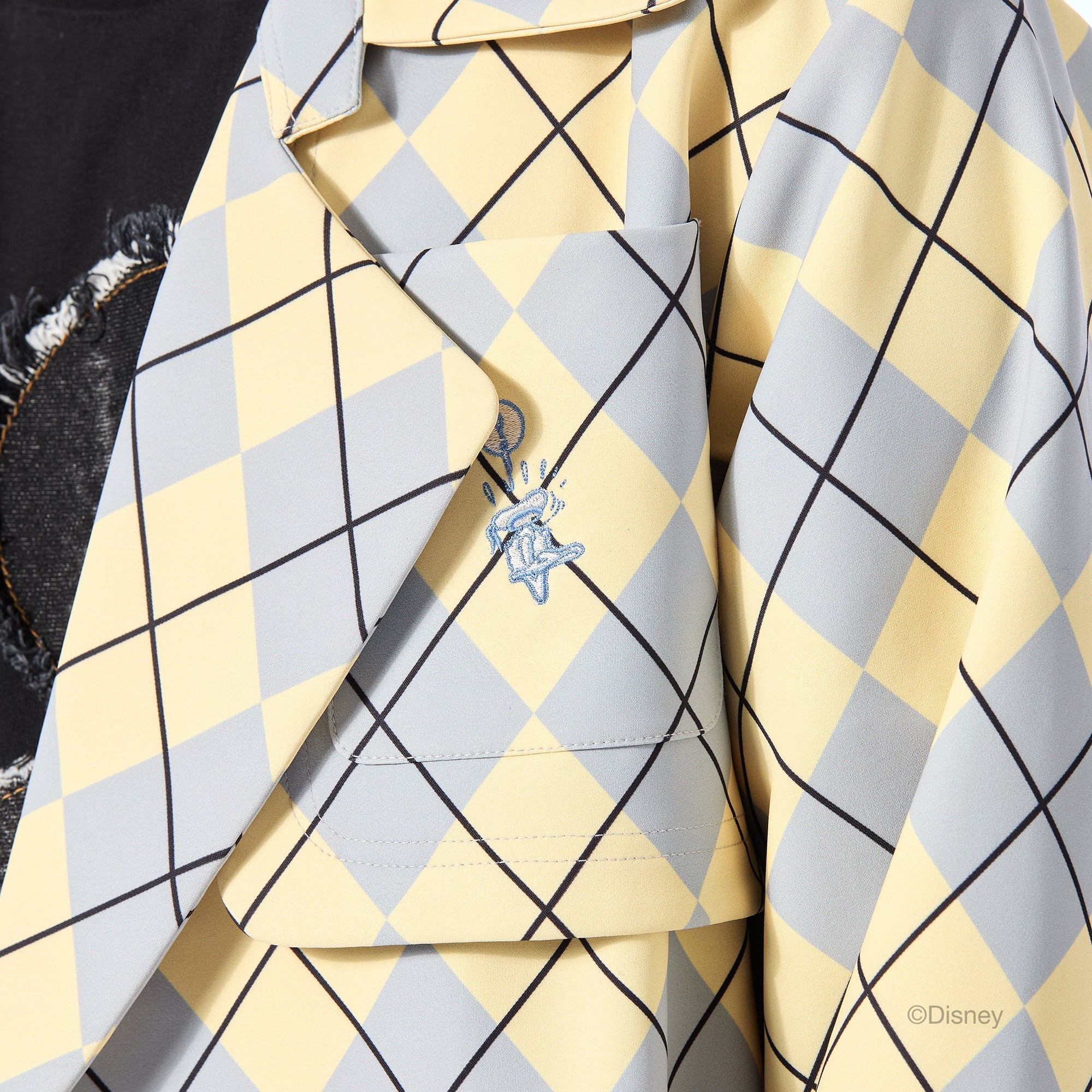 WEBBED' COAT - Kanika Goyal Label